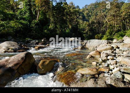 River dans le Parc National de Phon Kan Razi le nord du Myanmar Kachin Banque D'Images