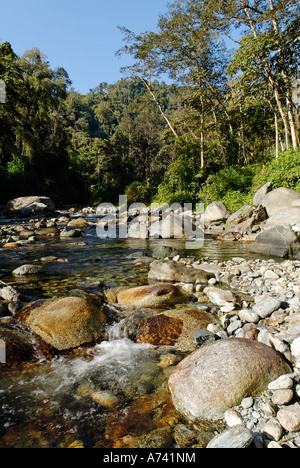 River dans le Parc National de Phon Kan Razi le nord du Myanmar Kachin Banque D'Images