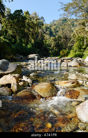 River dans le Parc National de Phon Kan Razi le nord du Myanmar Kachin Banque D'Images