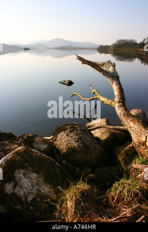 Tôt le matin à Loughanure Lough dans le comté de Donegal à l'ensemble de Renoso montagnes dans le parc national de Glenveagh, Irlande Banque D'Images