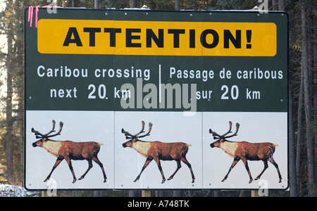 Signe du caribou des bois Banque D'Images