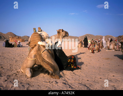 Femme reposant sur l'Égypte de chameau Banque D'Images