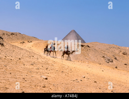 Les touristes sur l'équitation de chameau par pyramides Gizeh Egypte Banque D'Images