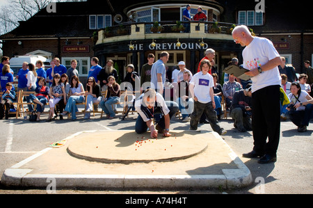 Les Britanniques et les marbres du monde championnat au Greyhound pub, Tinsley Green, Crawley UK. Photo par Jim Holden. Banque D'Images
