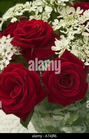 Roses rouges dans un vase avec Orlaya grandiflora (Fleur dentelle blanche) et l'Allium neapolitanum Banque D'Images