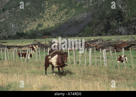 L'Amérique du Sud, Chili, région Aisen Camino Austral, Huaso Banque D'Images