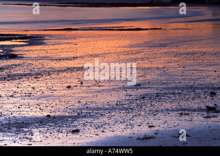 Coucher du soleil sur plage Milford Auckland New Zealand Banque D'Images