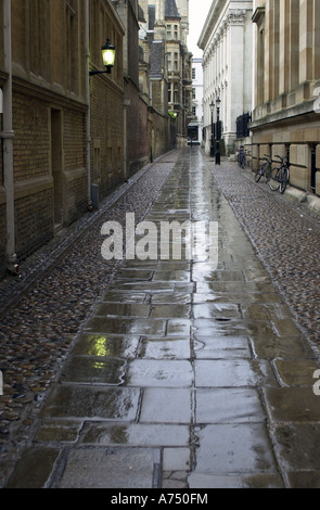 Sénat Chambre passage, Cambridge, Angleterre avec la lumière réfléchie par des pavés humides après une brève douche pluie Banque D'Images