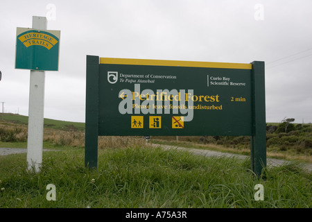 La marque d'une forêt pétrifiée dans les roches exposées sur la plage de Curio Bay site de forêt fossile dans la côte de Catlins Nouvelle-zélande Banque D'Images