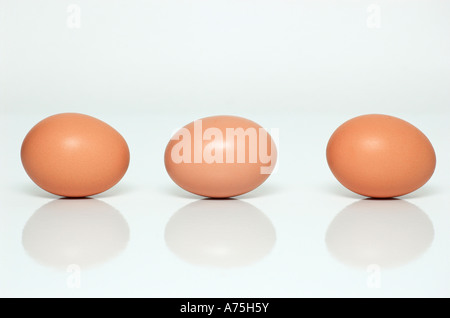 Trois oeufs brun contre fond blanc close up Banque D'Images