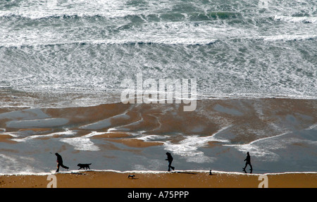 DOG WALKERS PROFITEZ D'UNE PROMENADE LE LONG DE LA PLAGE DE WOOLACOMBE DANS LE NORD DU Devon, Angleterre.UK. Banque D'Images
