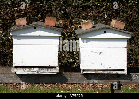 Ruche en bois dans le Warwickshire angleterre uk Banque D'Images