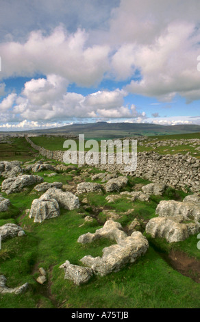 Ingleborough vues de l'Est, au-dessus de Ribblesdale, Yorkshire Dales National Park, North Yorkshire, Angleterre, Royaume-Uni. Banque D'Images