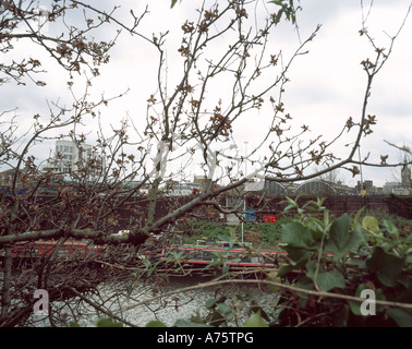 Regents Canal Londres Banque D'Images