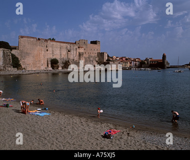 Le 13ème siècle, le Château des Templiers vu de la Plage de port d'Avall à Collioure Banque D'Images