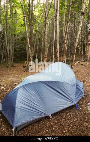 L'Argentine, Terre de Feu, Terre de Feu Parc National. Camping situé dans un bois près de la Baie d'Ensenada. Banque D'Images