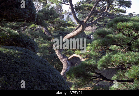 Hakone Garden Palace détaché (Onshi-Hakone-Koen Park) à Hakone au Japon Banque D'Images