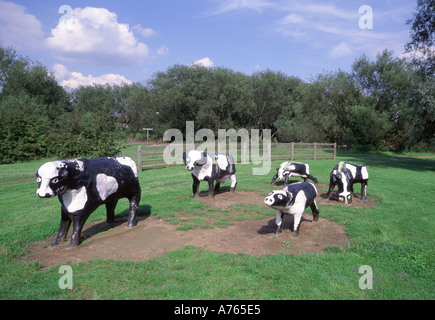 Groupe de vaches fransiennes noires et blanches dans une sculpture en béton dans un parc à Milton Keynes une nouvelle ville de 1967 dans Buckinghamshire Angleterre Royaume-Uni Banque D'Images