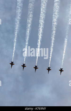 31 mars 2007 - L'équipe de démonstration en vol de l'US Navy, le Blue Angels, effectuer des démonstrations aériennes au cours de l'air show 2007. Banque D'Images