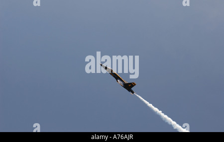 31 mars 2007 - L'équipe de démonstration en vol de l'US Navy, le Blue Angels, effectuer des démonstrations aériennes au cours de l'air show 2007. Banque D'Images