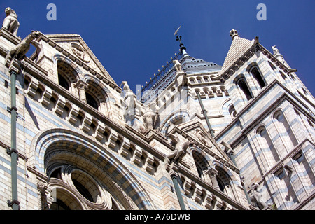 Vue détaillée de l'architecture du Musée d'Histoire Naturelle contre un ciel bleu. Banque D'Images