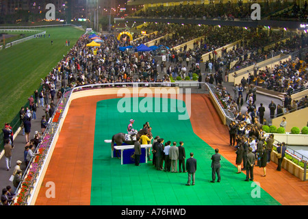 Cheval gagnant et jockey dans le boîtier gagnants étant présenté avec le prix et la presse phographers prendre des photos. Banque D'Images