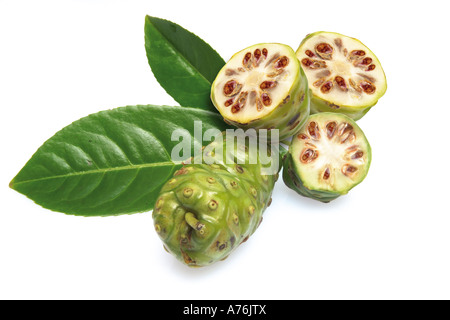 Les fruits de noni (Morinda Citrifolia) Banque D'Images