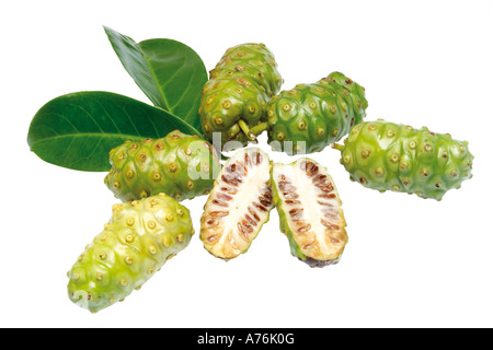 Les fruits de noni (Morinda Citrifolia) Banque D'Images