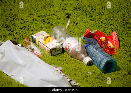 Collecte des déchets à bord du petit étang Banque D'Images