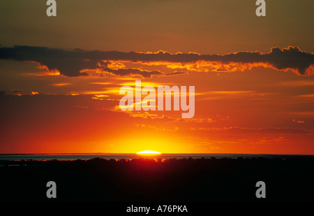 Coucher du soleil dans le spectaculaire parc national d'Etosha, Namibie. Banque D'Images