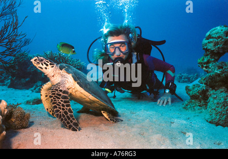 Un plongeur l'observation d'une tortue verte (Chelonia mydas) à côté d'un récif de corail. Banque D'Images