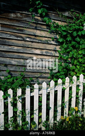 Clôture blanche Cass Scenic Railroad State Park West Virginia USA Banque D'Images
