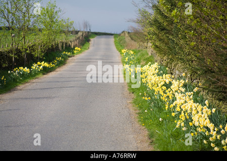 Vue en saison Printemps idyllique dans la campagne du Yorkshire de l'Ouest sur les Pennines au-dessus de Halifax UK Banque D'Images