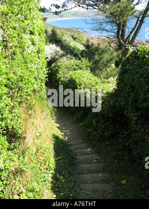 Chemin menant à une plage à Cornwall en Angleterre Banque D'Images