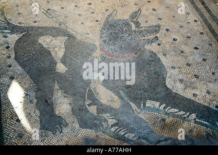 Mosaïque romaine Cave Canem ou Méfiez-vous du chien Pompéi Campanie Italie Banque D'Images