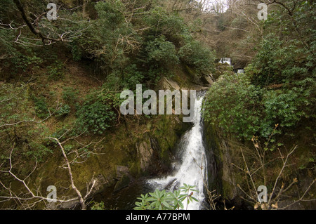 La Mynach Falls Pont du Diable près de Aberystwyth, Ceredigion Pays de Galles Banque D'Images