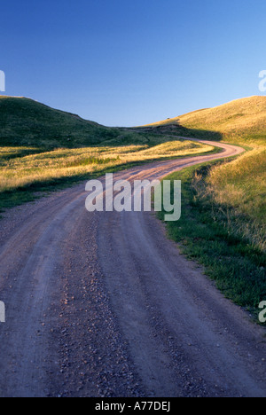 Chemin de terre et ciel bleu en PARC NATIONAL DE WIND CAVE, DAKOTA DU SUD. La fin du printemps. Banque D'Images