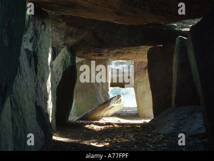 La Roche aux Fées, fées ou rock, Esse, Ille-et-Vilaine, Bretagne. l'intérieur de la cabine. Site de l'ancienne d'inhumation ou de culte. Banque D'Images