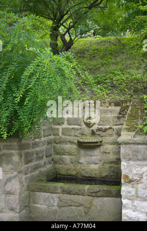 Fontaine à eau avec un satyre face sculpture, Jardin botanique de Prague, Prague, République Tchèque Banque D'Images