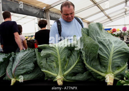 Les personnes appréciant les légumes géants à l'automne fleurs de Malvern worcestershire, show 2006 Banque D'Images