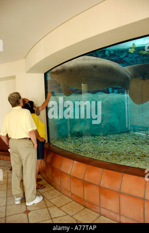 South Florida Museum et l'Évêque Planétarium et Parker Manatee Aquarium situé au centre-ville de Bradenton en Floride FL Fla Banque D'Images