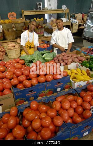 Marché fermier de l'État, les agriculteurs le centre-ville de Nashville, Tennessee TN Tenn. US USA Etats-Unis d'Amérique American Music City Banque D'Images