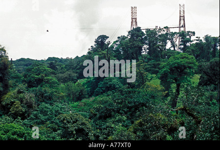 Forêt nuageuse de Monteverde au Costa Rica. Banque D'Images