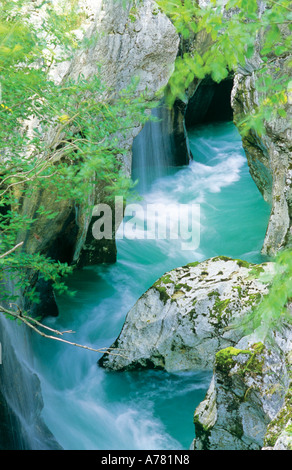 Lepena Soca rivière qui traverse le Parc National de Triglav Lepena Canyon Slovénie Banque D'Images