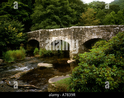 Rivière Devon UK Teigh coule sous le pont Fingle près de Drewsteignton Banque D'Images