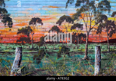 Détail du mur, Cann River, Victoria, Australie Banque D'Images