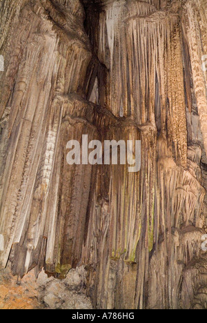 Dh ST MICHAELS GIBRALTAR grottes stalactites dans la grotte de St Michaels grottes calcaires minéral pierre formation Banque D'Images