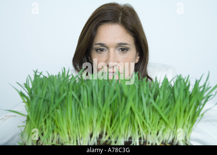 Femme derrière le bac d'herbe de blé Banque D'Images