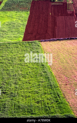 Modèle agricole Minde, Portugal Banque D'Images