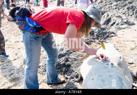 Un géologue amateur craquant probablement des rochers ouverts à la recherche de fossiles le long de la plage Jurassic en Grande-Bretagne, Charmouth, Dorset, Angleterre, Royaume-Uni Banque D'Images